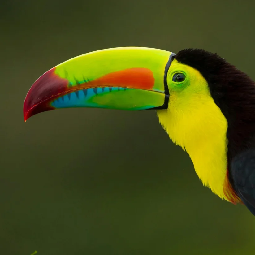 Upala, Costa Rica